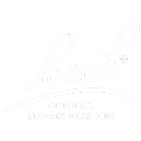 logo_bach-white-text 1